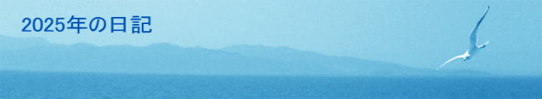 2025年の日記