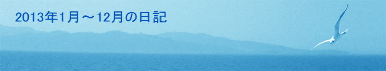 2013N1`12̓L