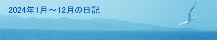 2024N1`12̓L